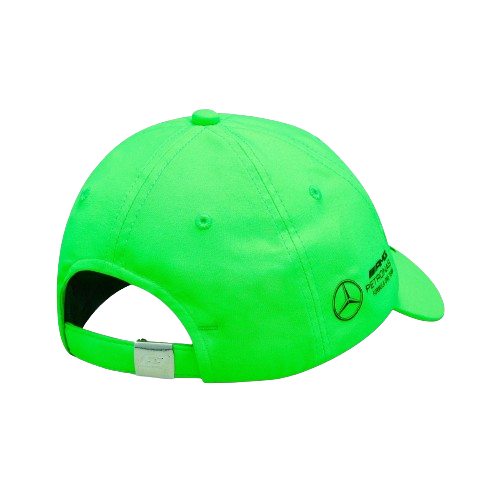 Mercedes AMG Petronas F1 | DT Racing