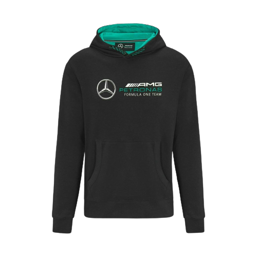 Unisex Logo Hooded Sweatshirt | DT Racing